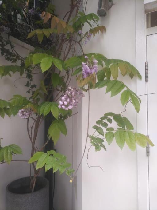 דירות Superior 5* Kensington, London Flat + Free Wi-Fi מראה חיצוני תמונה